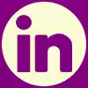 linkedin icon